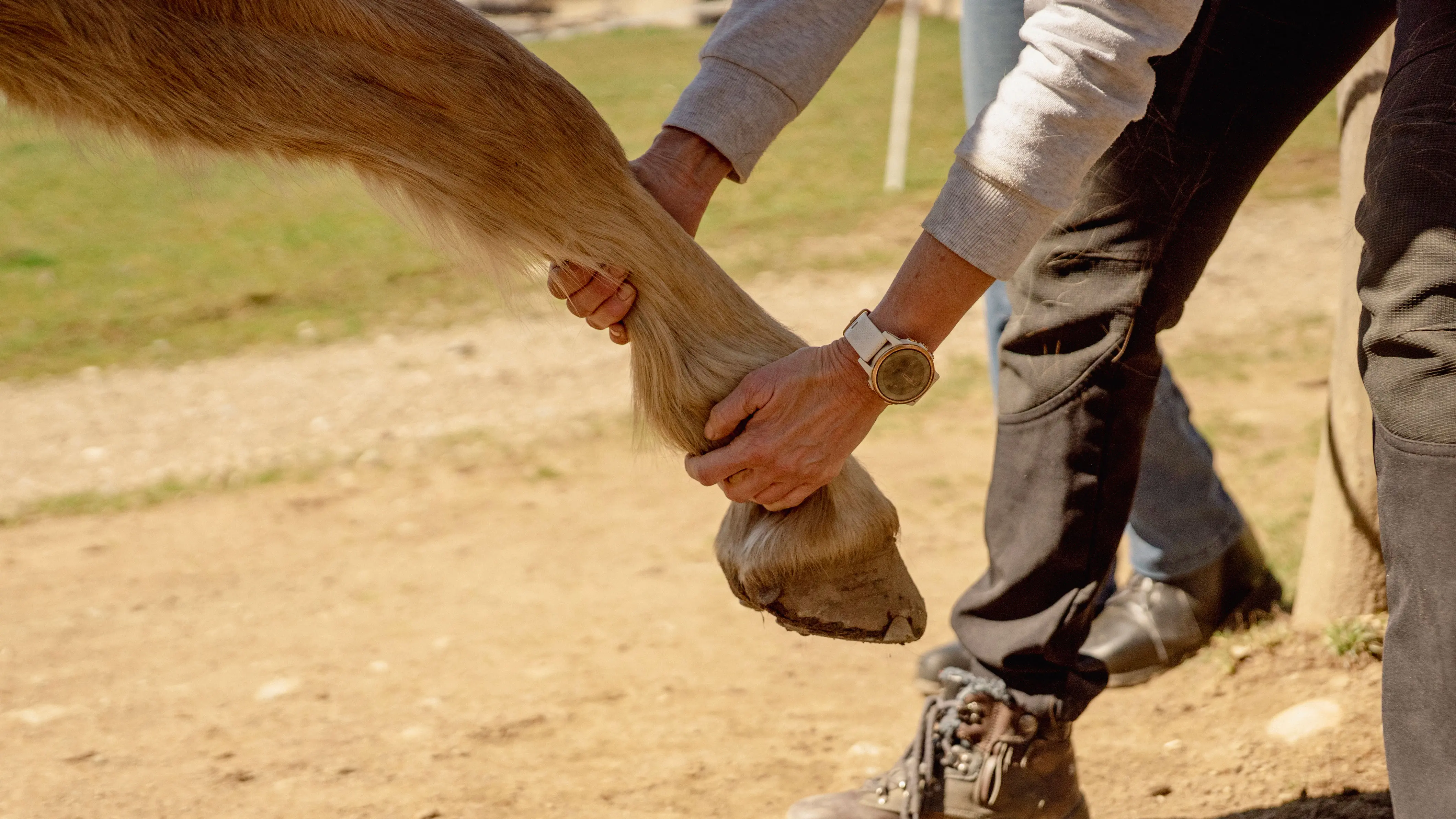 inBalance©️_renateannagolker 166