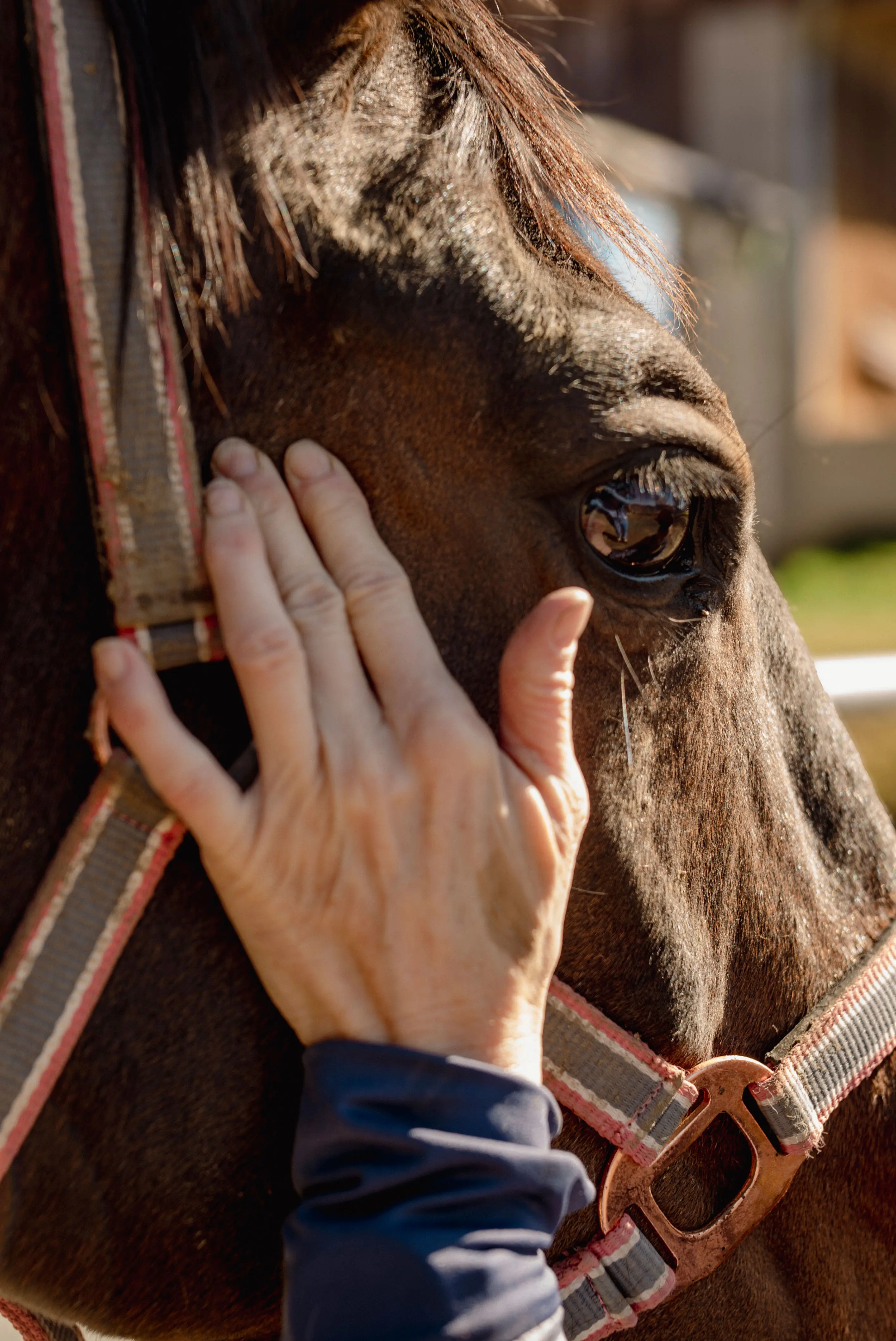 inBalance©️_renateannagolker 166